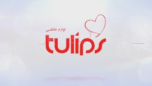 نمایندگی تولیپس رشت